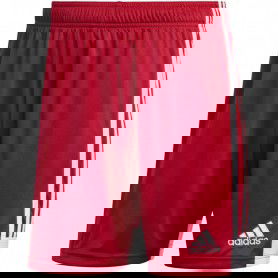 Adidas Tastigo 19 Shorts M DP3681 shorts