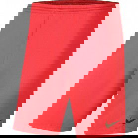 Nike Dry Park III NB K M BV6855 635 shorts