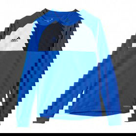 Adidas Assita 17 Jr AZ5404 sweatshirt