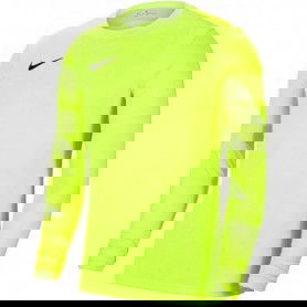 Goalkeeper jersey Nike Dry Park IV JSY LS GK JR CJ6072-702