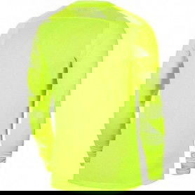 Goalkeeper jersey Nike Dry Park IV JSY LS GK JR CJ6072-702 2