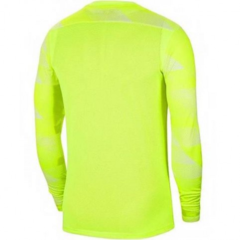 Goalkeeper Jersey Nike Dry Park IV JSY LS GK JR CJ6072 702