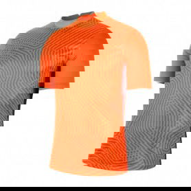 Koszulka bramkarska Nike Gardien III GK M BV6714-803