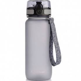 Meteor 650 ml bottle 74576