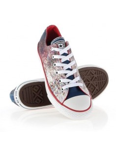 Converse Chuck Taylor All Star Jr 647644C
