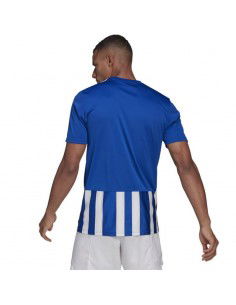 Tee adidas Striped 21 JSY M GH7321 2