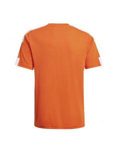 T-shirt adidas Squadra 21 Jr GN8089 2