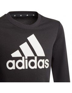 Sweatshirt adidas Essentials Big Logo Jr GP0040 2