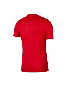 Nike Dry Park VII Jr BV6741-657 shirt 2