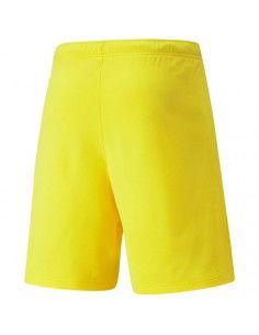 Puma teamRISE Cyber M 704942 07 shorts 2