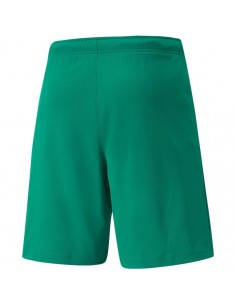 Puma teamRISE Short M 704942 05 2