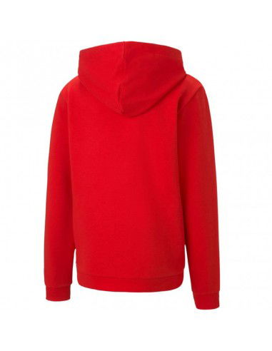 Puma teamGOAL 23 Casuals Hoody Jr 656711 01 Puma teamGOAL 23 Casuals Hoody Jr 656711 01