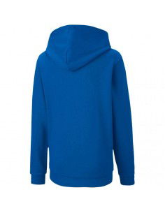 Puma teamGOAL 23 Casuals Hoody Jr 656711 02 2