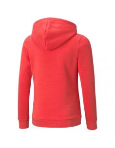 Puma ESS Logo Hoodie FL Jr 587031 35 2