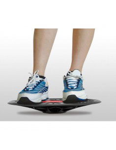 BB 6360 balance disc 2