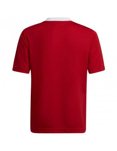 T-shirt adidas Entrada 22 Jsy Jr H57496 T-shirt adidas Entrada 22 Jsy Jr H57496