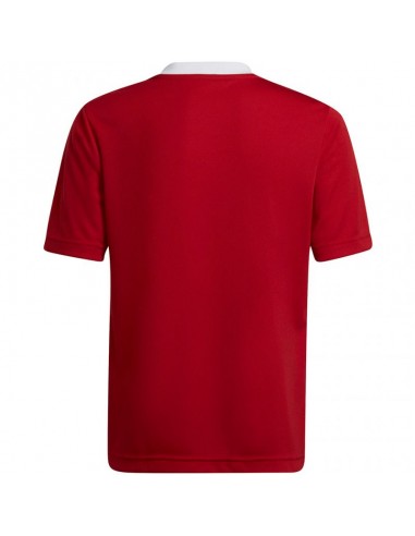 T-shirt adidas Entrada 22 Jsy Jr H57496 T-shirt adidas Entrada 22 Jsy Jr H57496