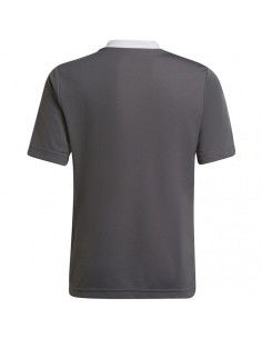 T-shirt adidas Entrada 22 Jsy Jr H57499 2