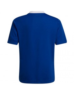 T-shirt adidas Entrada 22 Jsy Jr HG3948 2