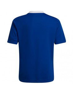 T-shirt adidas Entrada 22 Jsy Jr HG3948 2