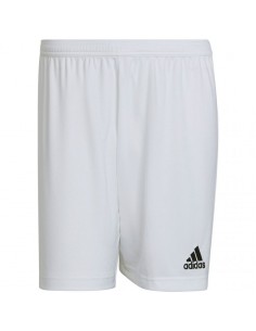 Adidas Entrada 22 M HG6295 shorts