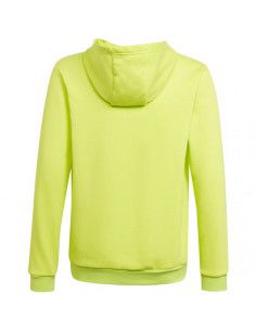 Sweatshirt adidas Entrada 22 Hoody Jr HC5069 2