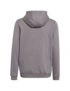 Sweatshirt adidas Entrada 22 Hoody Jr H57515 2