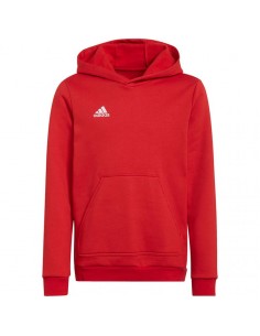 Sweatshirt adidas Entrada 22 Hoody Jr H57566