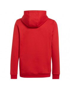 Sweatshirt adidas Entrada 22 Hoody Jr H57566 2