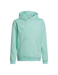 Adidas Entrada 22 Hoody JR HC5066 sweatshirt