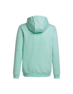 Adidas Entrada 22 Hoody JR HC5066 sweatshirt 2