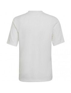 T-shirt adidas Entrada 22 Graphic Jersey Jr HF0120 2