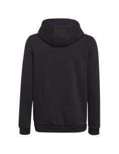 Sweatshirt adidas Entrada 22 Hoody Jr H57516 2
