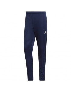 Adidas Entrada 22 Training Panty M HC0333