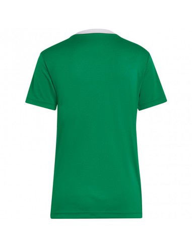 T-shirt adidas Entrada 22 Jersey W HI2124 T-shirt adidas Entrada 22 Jersey W HI2124