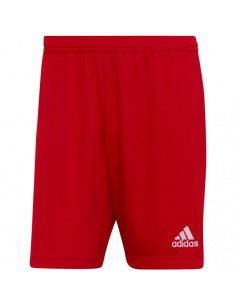 Adidas Entrada 22 M H61735 shorts