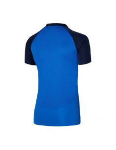 Nike Dri-FIT Academy Pro M DH9228-463 Polo 2