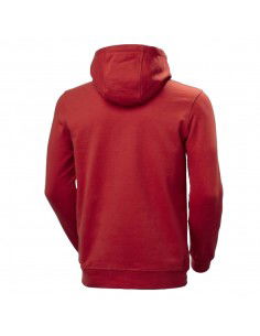 Helly Hansen Logo Hoodie 33977-163 2