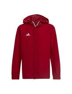 Jacket adidas Entrada 22 All-weather Jr HG6300
