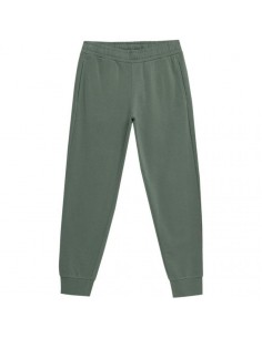 Outhorn M HOL22 SPMD600 40S pants