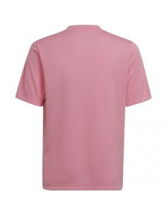 Adidas Entrada 22 Graphic Jersey Jr HC2632 2