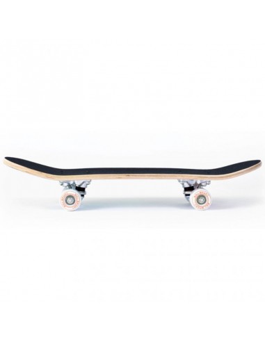 Skateboard SMJ UT-2406 Robot Skateboard SMJ UT-2406 Robot