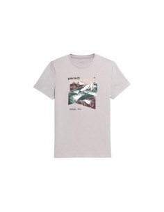 T-shirt 4F M H4L22-TSM071 gray