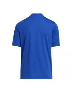 Adidas Entrada 22 Graphic Jersey Jr HF0130 2