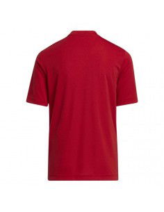 Adidas Entrada 22 Graphic Jersey Jr.H58983 2