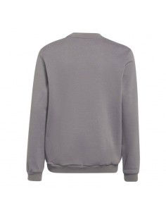 Adidas Entrada 22 Sweat Top Jr H57477 sweatshirt 2