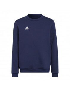 Sweatshirt adidas Entrada 22 Hoody Jr H57568