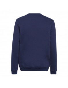 Sweatshirt adidas Entrada 22 Hoody Jr H57568 2