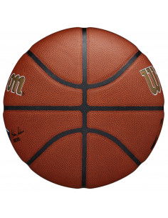 Wilson Team Alliance New Orleans Pelicans Ball WTB3100XBBNO 2