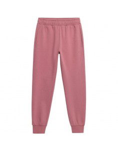 Outhorn pants W OTHAW22TTROF041 53S